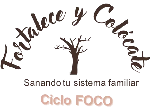 ciclo foco